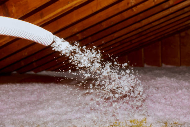 Best Spray Foam Insulation in Natalbany, LA