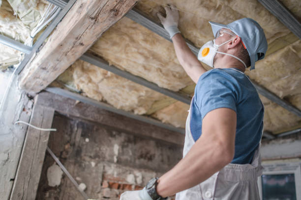 Best Specialized Insulation Services in Natalbany, LA