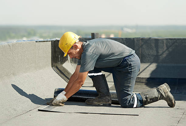 Best Specialized Insulation Services in Natalbany, LA