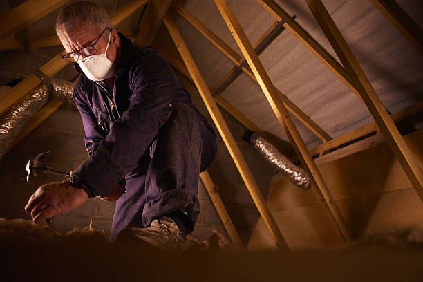 Best Commercial Insulation in Natalbany, LA